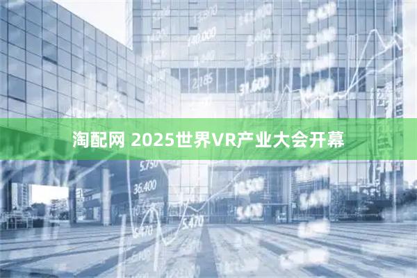 淘配网 2025世界VR产业大会开幕