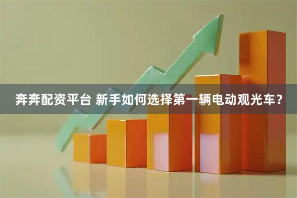 奔奔配资平台 新手如何选择第一辆电动观光车?