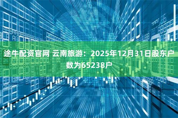 途牛配资官网 云南旅游：2025年12月31日股东户数为65238户