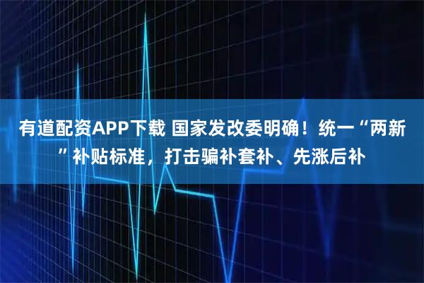 有道配资APP下载 国家发改委明确！统一“两新”补贴标准，打击骗补套补、先涨后补